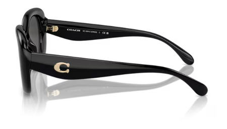 Okulary Przeciwsłoneczne Coach HC 8391U 500287