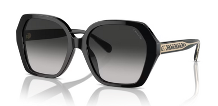 Okulary Przeciwsłoneczne Coach HC 8404U 50023C