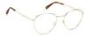 Okulary korekcyjne Pierre Cardin P.C. 8870 DDB