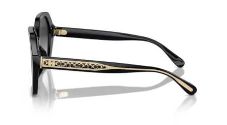 Okulary Przeciwsłoneczne Coach HC 8404U 50023C